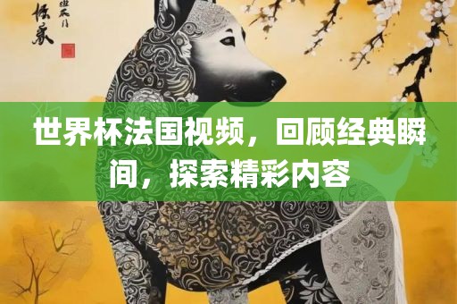 世界杯法国视频，回顾经典瞬间，探索精彩内容
