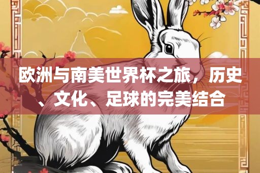 欧洲与南美世界杯之旅，历史、文化、足球的完美结合