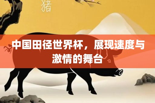中国田径世界杯，展现速度与激情的舞台