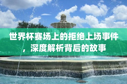 世界杯赛场上的拒绝上场事件，深度解析背后的故事