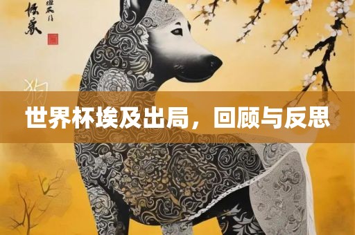 世界杯埃及出局，回顾与反思