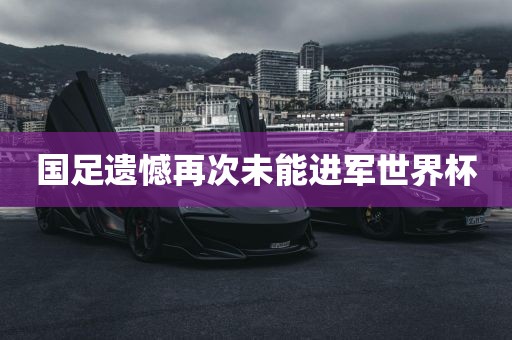 国足遗憾再次未能进军世界杯