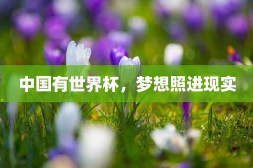 中国有世界杯，梦想照进现实