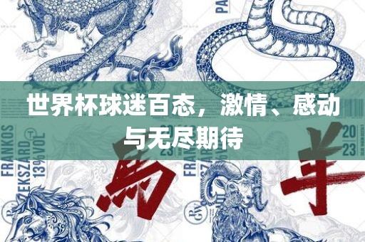 世界杯球迷百态，激情、感动与无尽期待