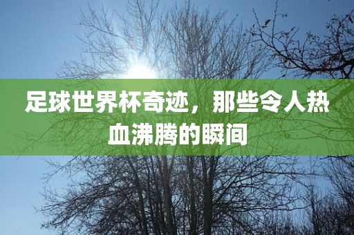 足球世界杯奇迹，那些令人热血沸腾的瞬间