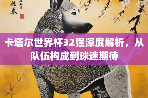 卡塔尔世界杯32强深度解析，从队伍构成到球迷期待