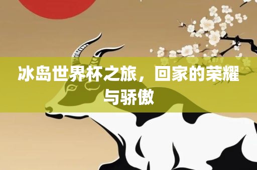 冰岛世界杯之旅，回家的荣耀与骄傲