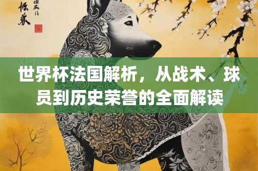 世界杯法国解析，从战术、球员到历史荣誉的全面解读