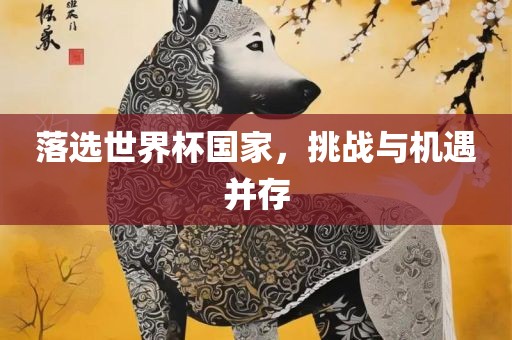 落选世界杯国家，挑战与机遇并存