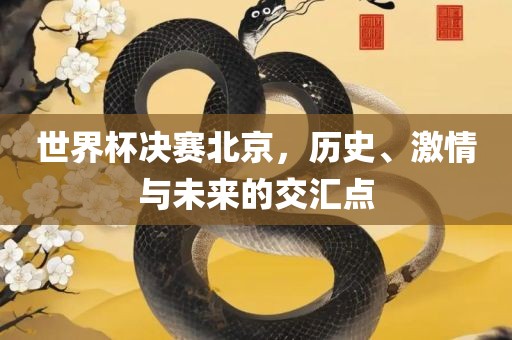 世界杯决赛北京，历史、激情与未来的交汇点