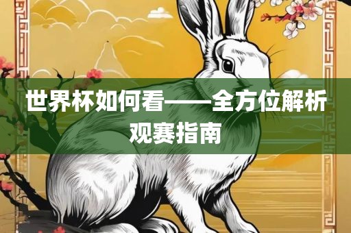 世界杯如何看——全方位解析观赛指南