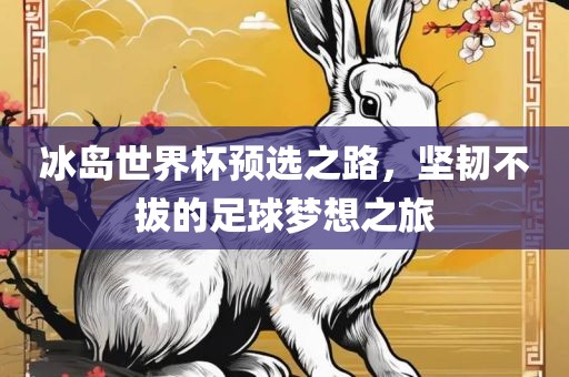 冰岛世界杯预选之路，坚韧不拔的足球梦想之旅