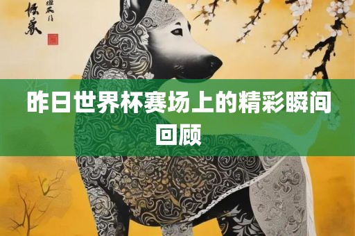 昨日世界杯赛场上的精彩瞬间回顾