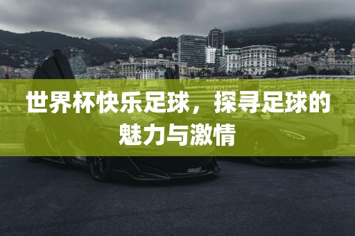 世界杯快乐足球，探寻足球的魅力与激情