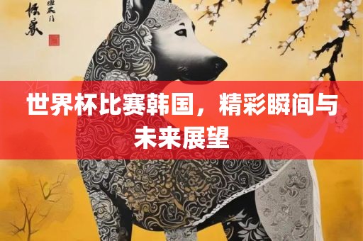 世界杯比赛韩国，精彩瞬间与未来展望