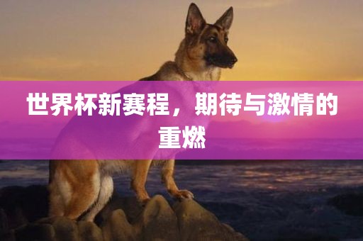 世界杯新赛程，期待与激情的重燃