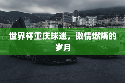 世界杯重庆球迷，激情燃烧的岁月