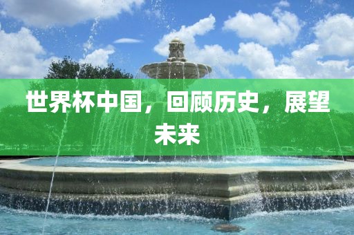 世界杯中国，回顾历史，展望未来