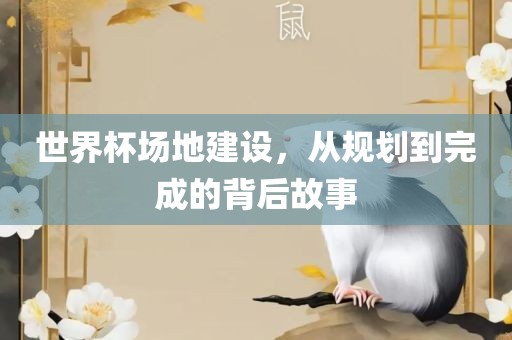 世界杯场地建设，从规划到完成的背后故事